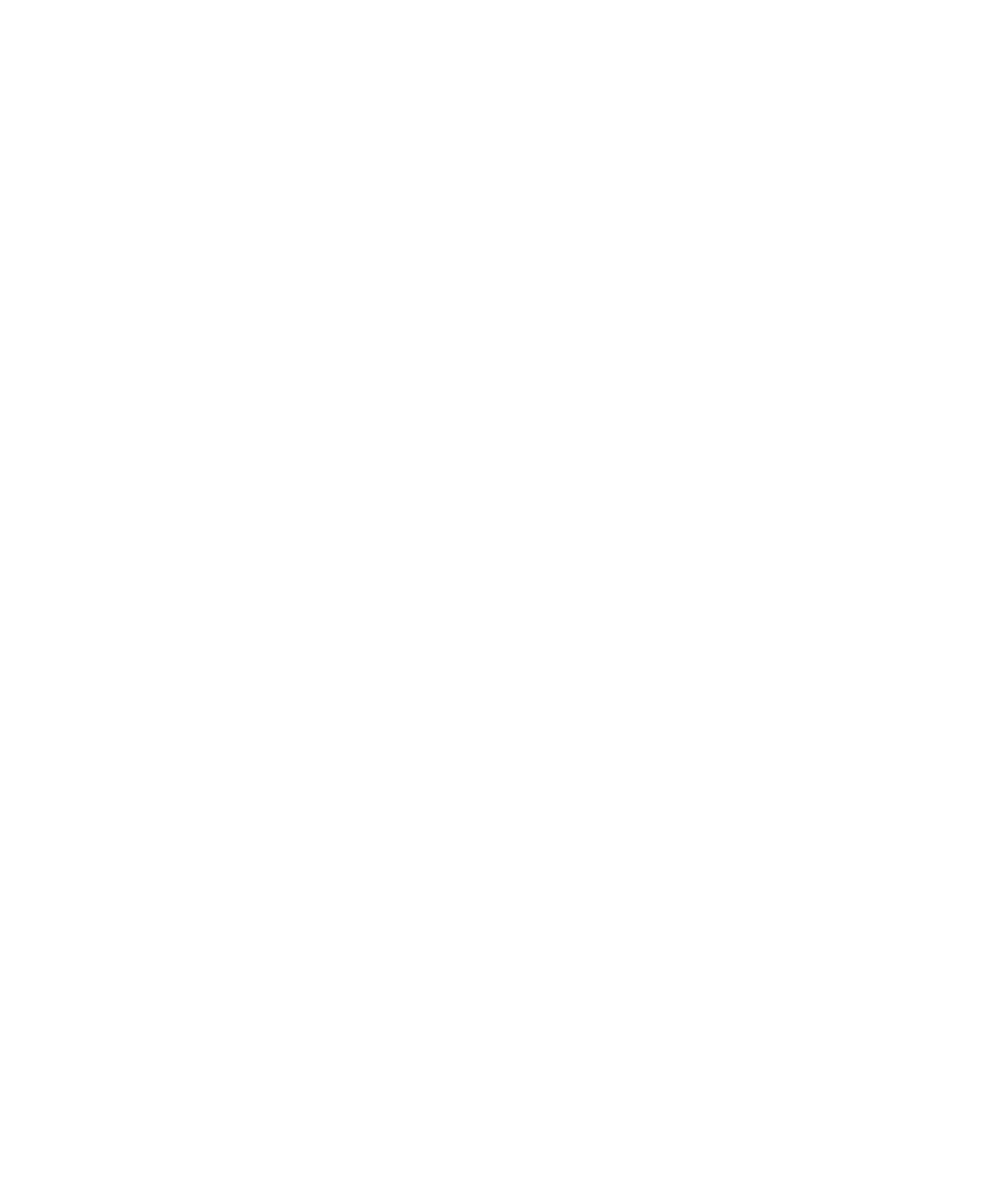 Bol International